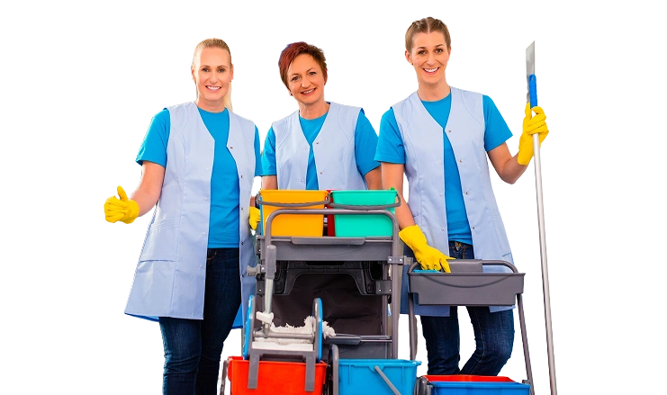 Fox Home Cleaning